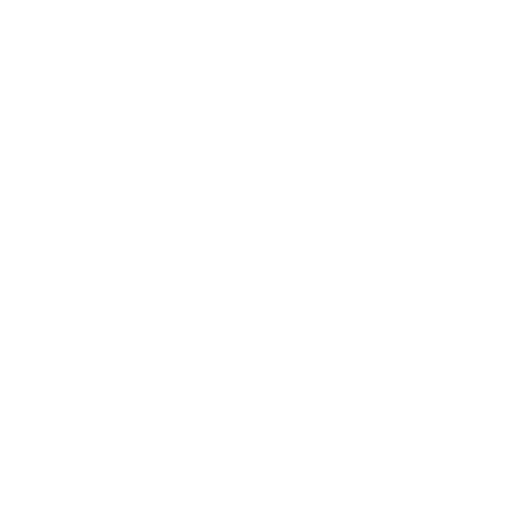 Fast & Secure Delivery Icon